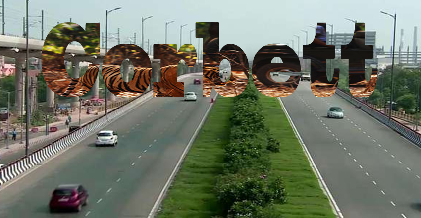 Delhi to Corbett Taxi