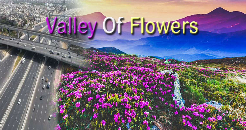 Delhi to Valley Of Flowers Taxi